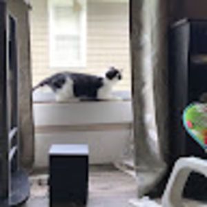 Meet your Posher, Blaine